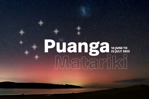 matariki-day-out-te-takere