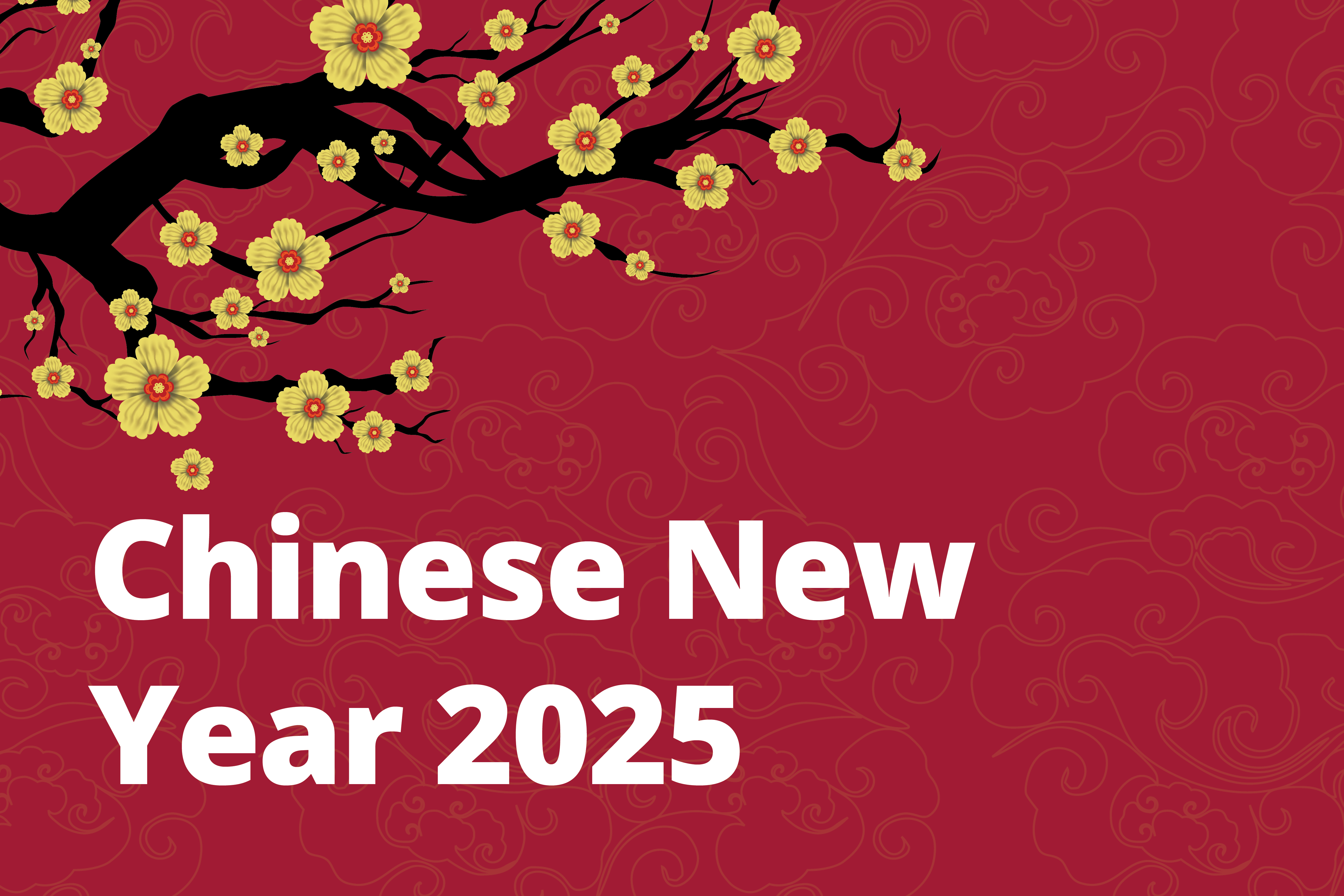 Chinese New Year 2025.