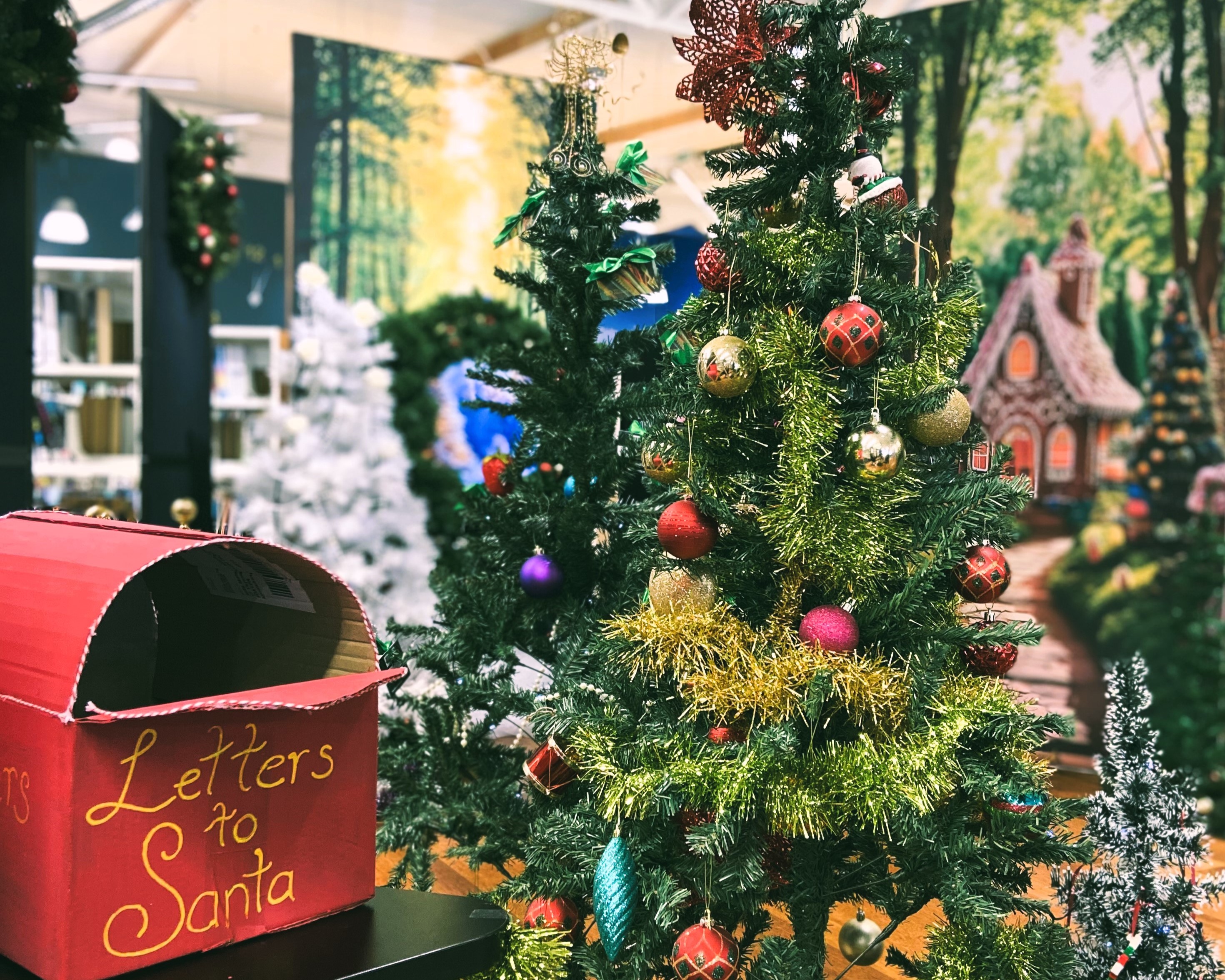 Letters to Santa box amongst a Christmas tree forest.