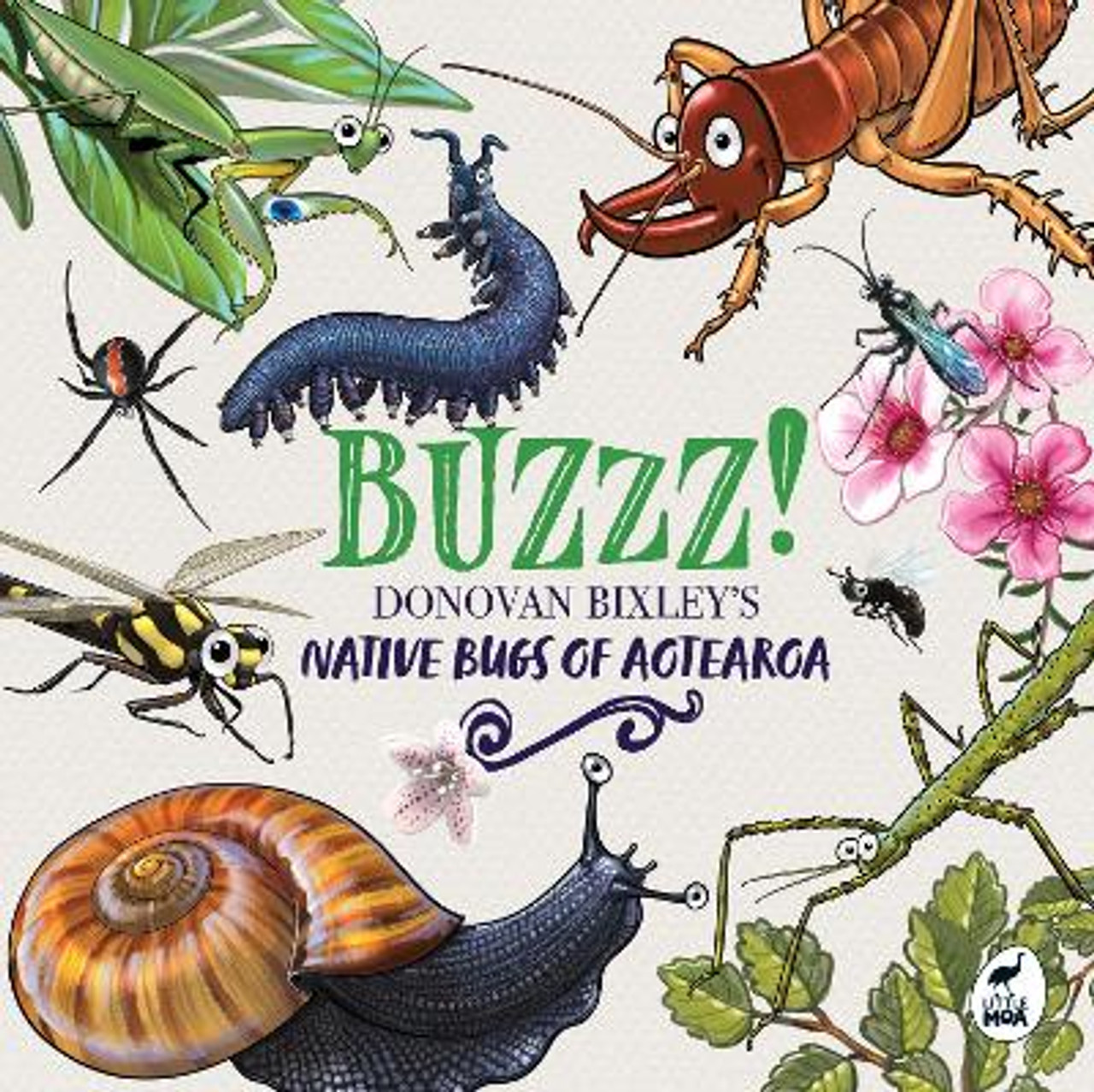 Buzzz! Native bugs of Aotearoa by Donovan Bixley.