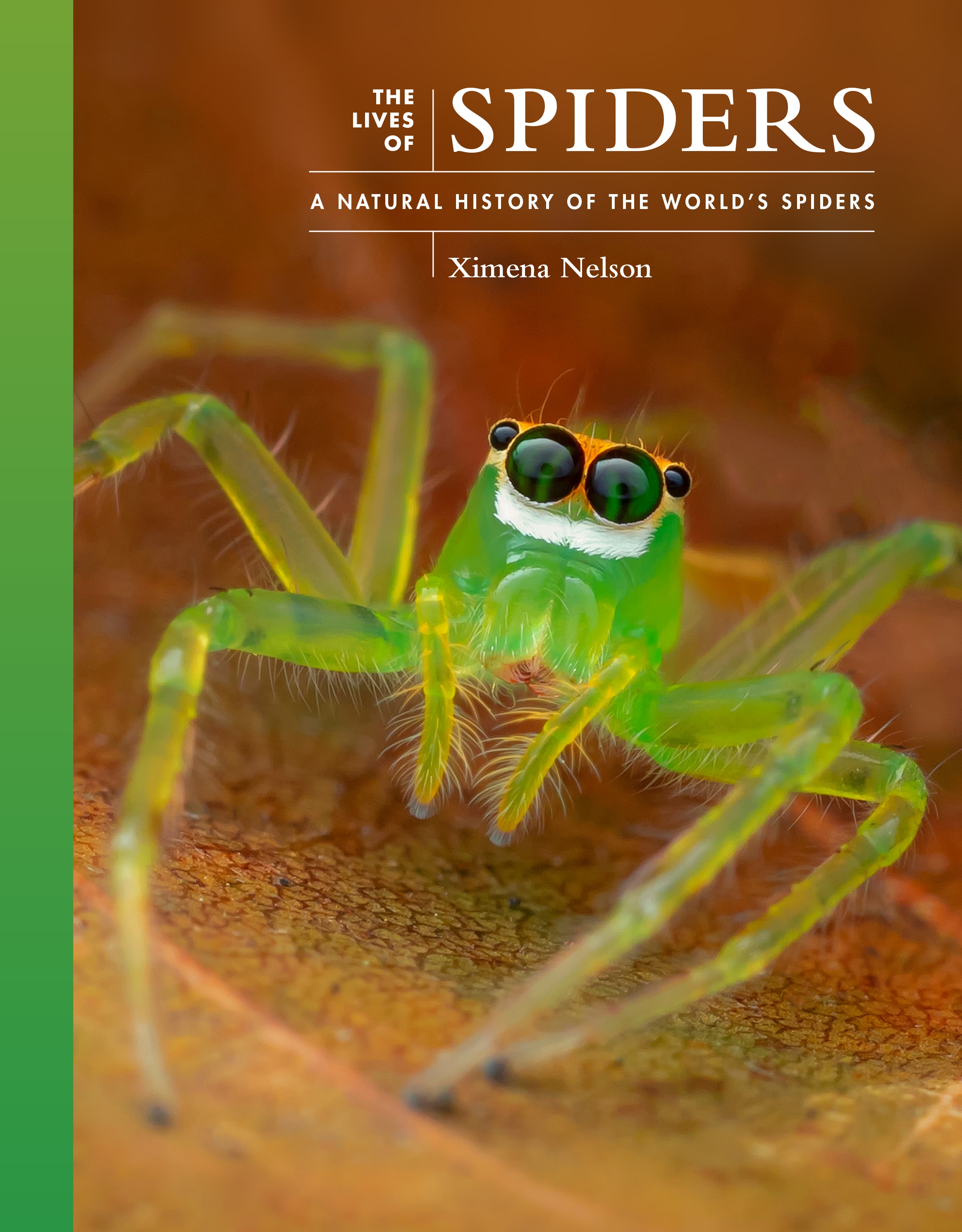 The Lives of Spiders: A natural History of the World’s Spiders by Ximena Nelson.